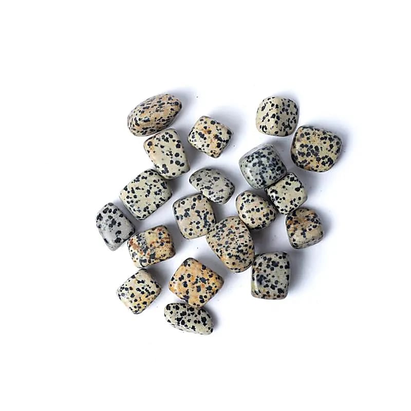 Dalmatian Jasper Tumbled Stones